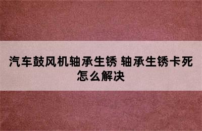 汽车鼓风机轴承生锈 轴承生锈卡死怎么解决